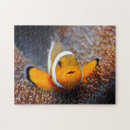 Search for tropical fish puzzles Aquatic