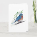 Search for bluebird cards Wildlife