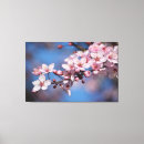 Search for cherry blossom canvas prints Pink