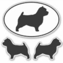 Search for norwich terrier Dog