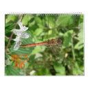Search for ladybug calendars Bugs