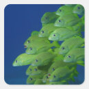 Search for topical stickers Nature