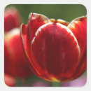 Search for box iphone x cases Flowers