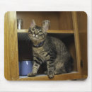Search for naughty mousepads Cat