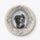 Search for holiday paper plates Modern