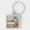 Search for persian cat key rings Full length