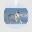 Search for family with dog christmas tree decorations Festive