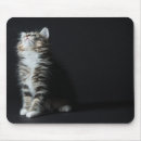 Search for tall electronics Animal