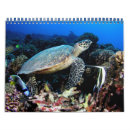 Search for turtle calendars Shark