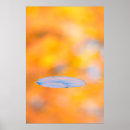 Search for quebec posters Autumn