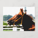 Search for thoroughbred postcards Racing