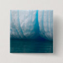 Search for iceberg badges Nature