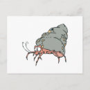Search for hermit postcards Cartoon
