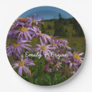 Search for aster plates Nature