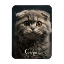 Search for pet magnets Cute