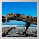 Search for driftwood art Ocean