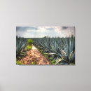 Search for distiller art Landscape