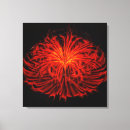 Search for firework art Abstract