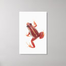 Search for darts canvas prints Reptiles