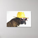 Search for bizarre canvas prints Studio shot