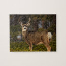 Search for deer hunting puzzles Antlers