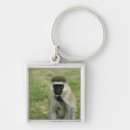 Search for monkey key rings Wildlife