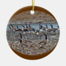 Search for geese christmas tree decorations Nature