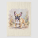 Search for french bulldog tissue paper Animals