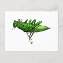 Search for green grasshopper postcards Bug
