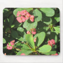 Search for off mousepads Nature