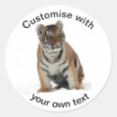 Search for tiger cubs stickers Snow