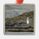 Search for safety christmas tree decorations Destinations