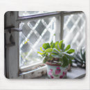 Search for the window electronics Cottage