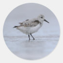Search for sea shore stickers Ocean