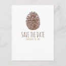 Search for conifers invitations Party