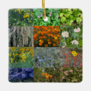 Search for bloom christmas tree decorations California