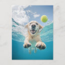 Search for happy tennis ball postcards Golden retriever
