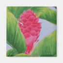 Search for ginger leaf Green