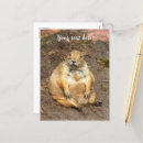 Search for get well soon postcards Cute