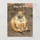 Search for get well soon postcards Cute