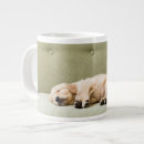 Search for sleeping animal mugs Dog