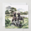Search for german shorthaired pointer cards Hunting dog