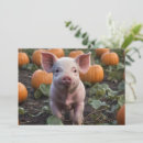 Search for pumpkin patch invitations Farm