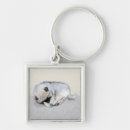 Search for dog sleeping key rings Puppy
