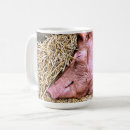 Search for cute pig mugs Animals
