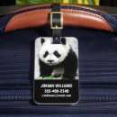 Search for china travel accessories Nature
