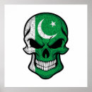 Search for pakistan posters Flag of pakistan