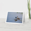 Search for ponds cards For her