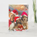 Search for weiner dog christmas cards Dogs