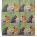 Search for chicken shower curtains Farm